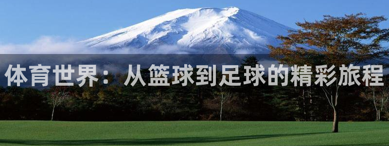 三亿体育登录：体育世界：从篮球到足球的精彩旅程