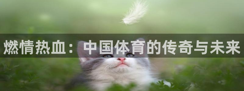 三亿体育网：燃情热血：中国体育的传奇与未来