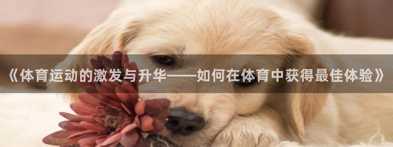 三亿体育登录：《体育运动的激发与升华——如何在体育中获得最佳体验》