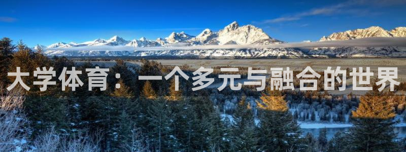 三亿体育登录：大学体育：一个多元与融合的世界