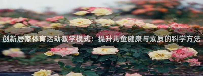 三亿体育：创新居家体育运动教学模式：提升儿童健康与素质的科学方法