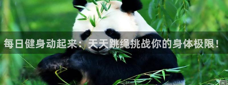 三亿体育登录：每日健身动起来：天天跳绳挑战你的身体极限！