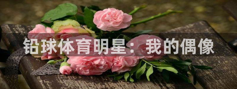 三亿体育网：铅球体育明星：我的偶像