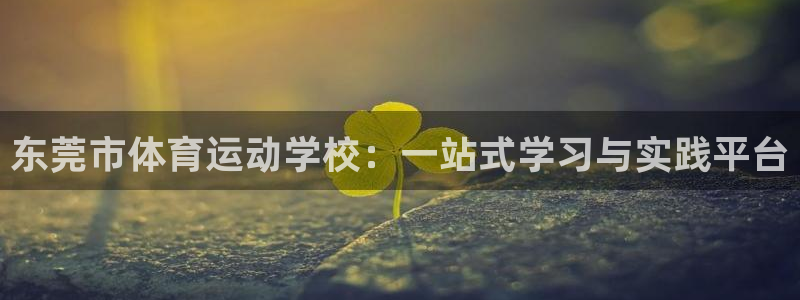 三亿体育网：东莞市体育运动学校：一站式学习与实践平台
