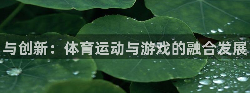 三亿体育网：与创新：体育运动与游戏的融合发展