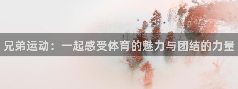 三亿体育网：兄弟运动：一起感受体育的魅力与团结的力量