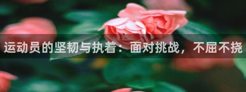 三亿体育网页版：运动员的坚韧与执着：面对挑战，不屈不挠