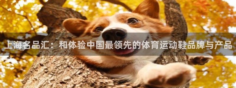 三亿体育：上海名品汇：和体验中国最领先的体育运动鞋品牌与产品