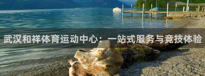 三亿体育网页版：武汉和祥体育运动中心：一站式服务与竞技体验